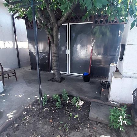 Casa Vio Διαμέρισμα Eforie Nord Εξωτερικό φωτογραφία